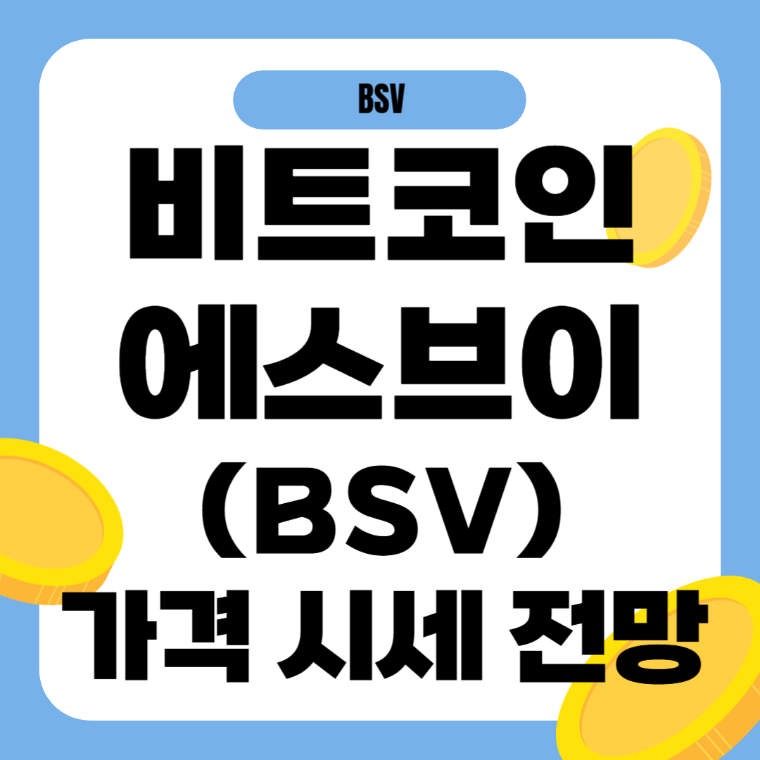 비트코인에스브이(BSV) 시세 가격 전망
