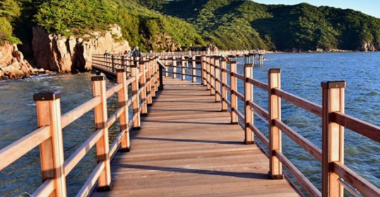 영종도 무의도 다리