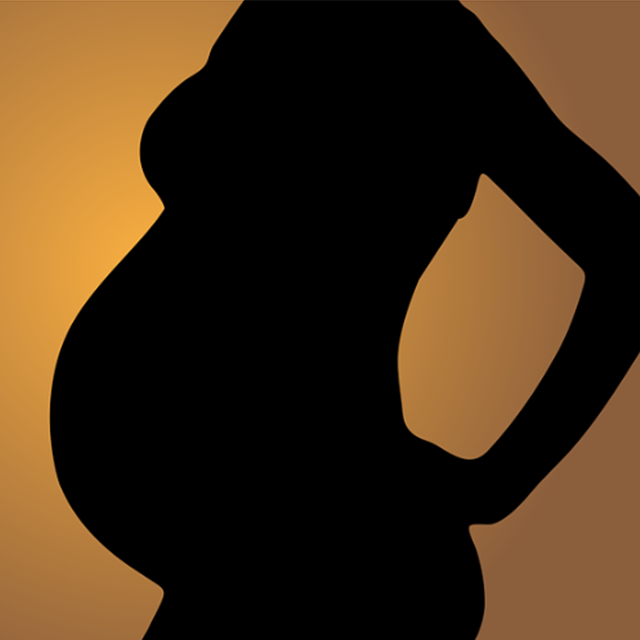 서울시임산부교통비지원사업