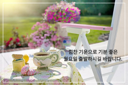 찻잔이 있는 테이블 옆 의자 하나 햇빛이 비치는 정원 풍경