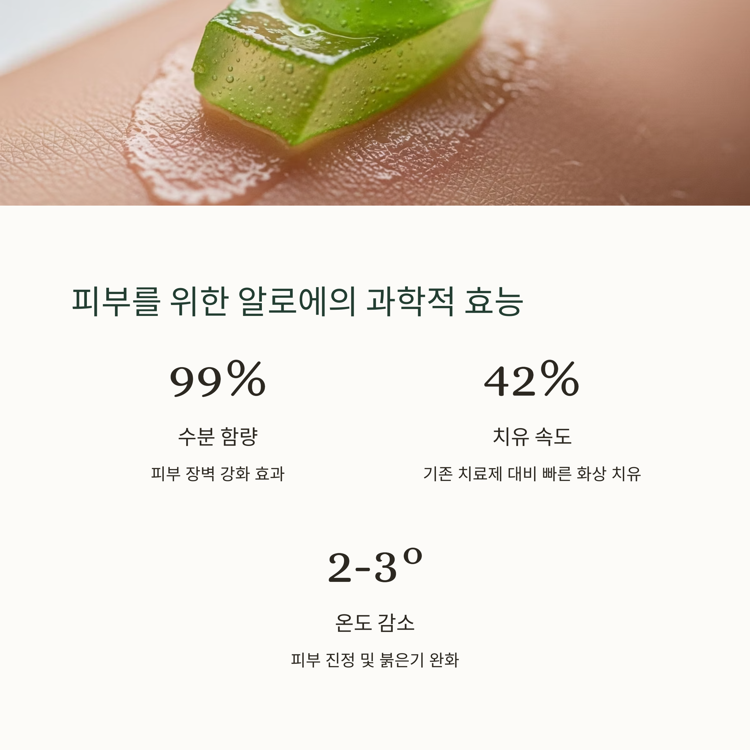피부를 위한 알로에의 과학적 효능