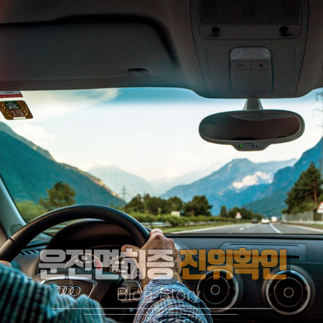 운전면허증 진위확인