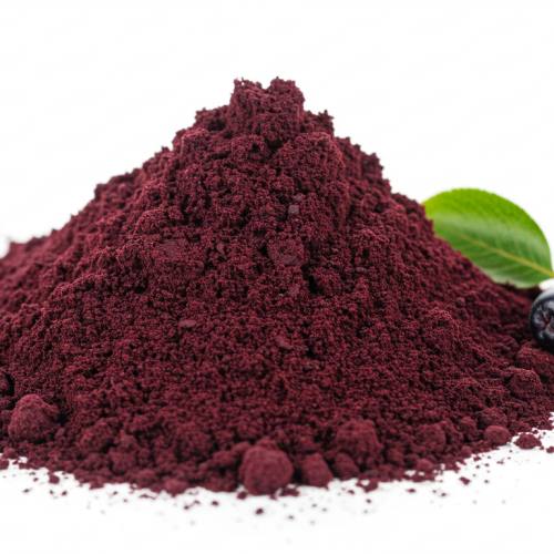 아로니아 분말 사진