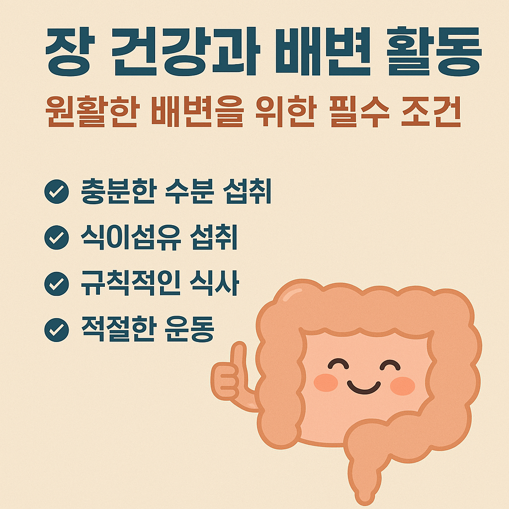 장 건강과 원활한 배변 활동을 위한 필수 조건을 주제로 한 감성 일러스트 이미지