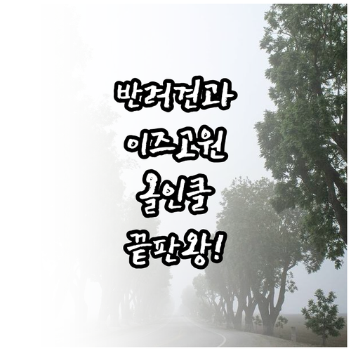 반려견 동반 이즈 고원 올 인클루시브..