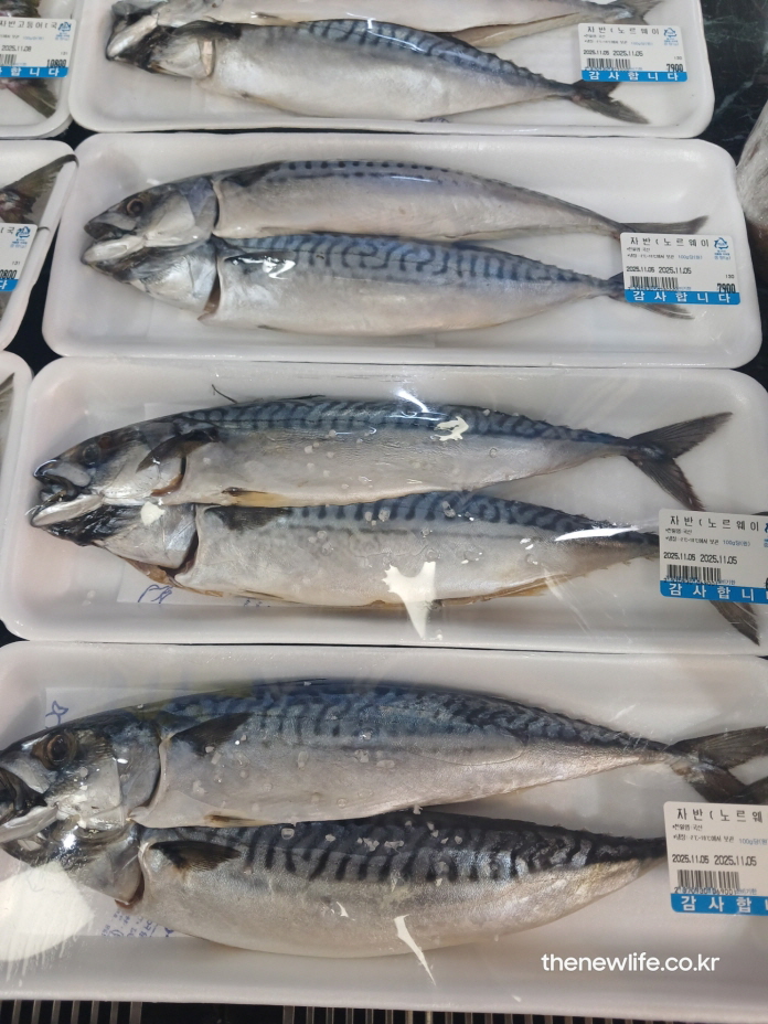 신선한 고등어 포장 상태로, 고등어 효능을 높이기 위해 신선도를 유지한 모습의 실물 사진