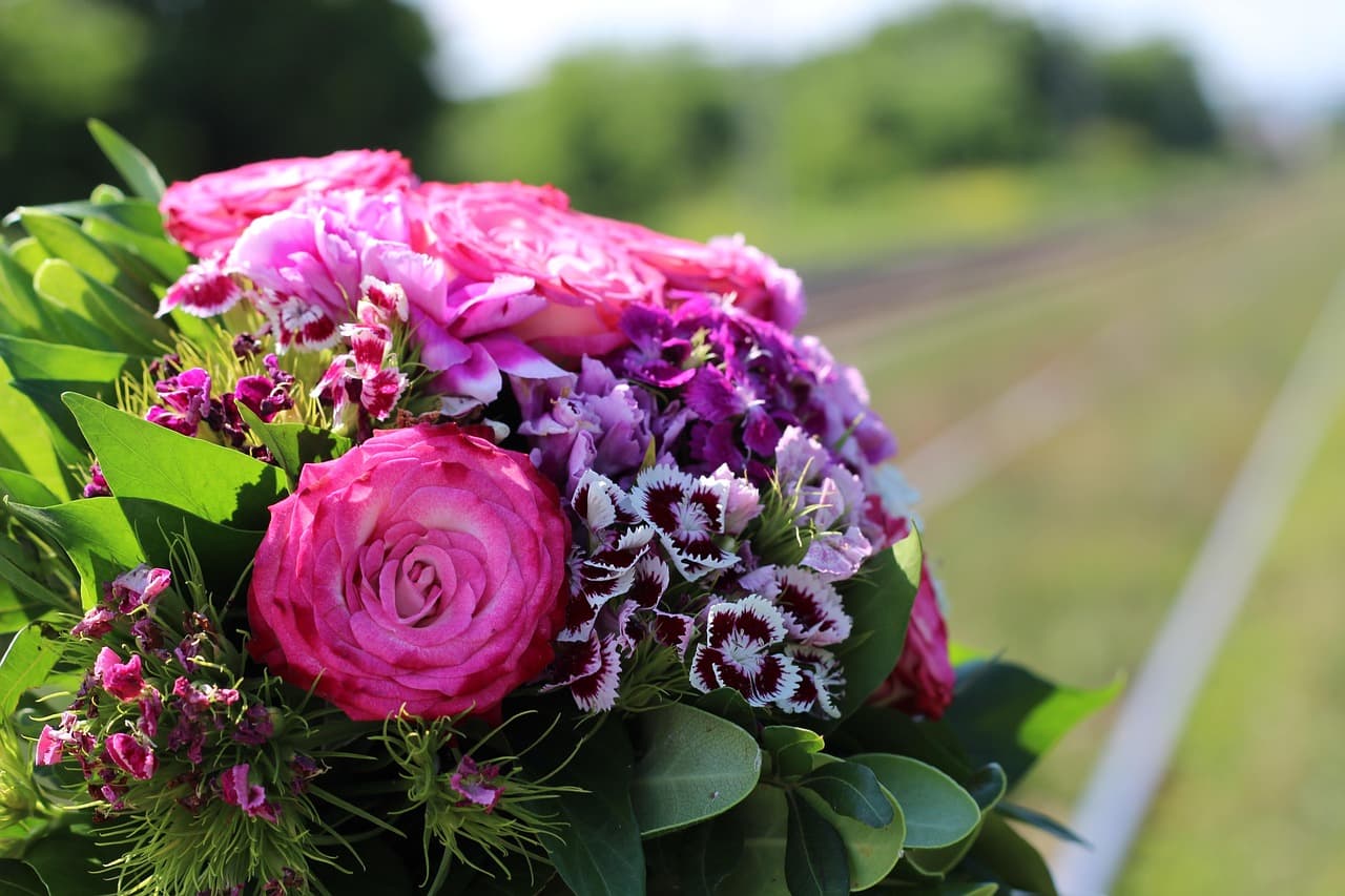 교통비 절약 + 친환경 실천! 서울시 기후 동행 카드 완벽 정리