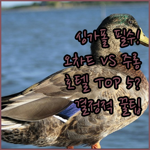 싱가포르 오차드 주롱 호텔 5곳 위치..