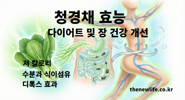 저칼로리와 풍부한 식이섬유로 다이어트, 변비 해소, 디톡스 효과를 주는 청경채 효능 인포그래픽