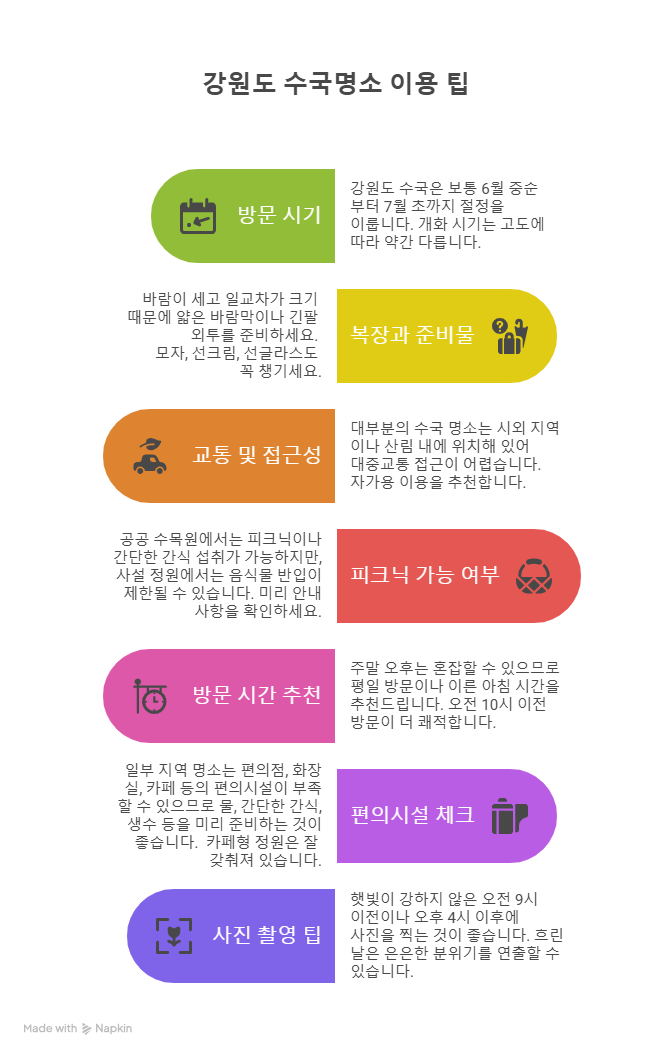 강원권 수국명소 추천 7곳, 여름 여행지로 꼭 가봐야 할 인생샷 스폿 총정리