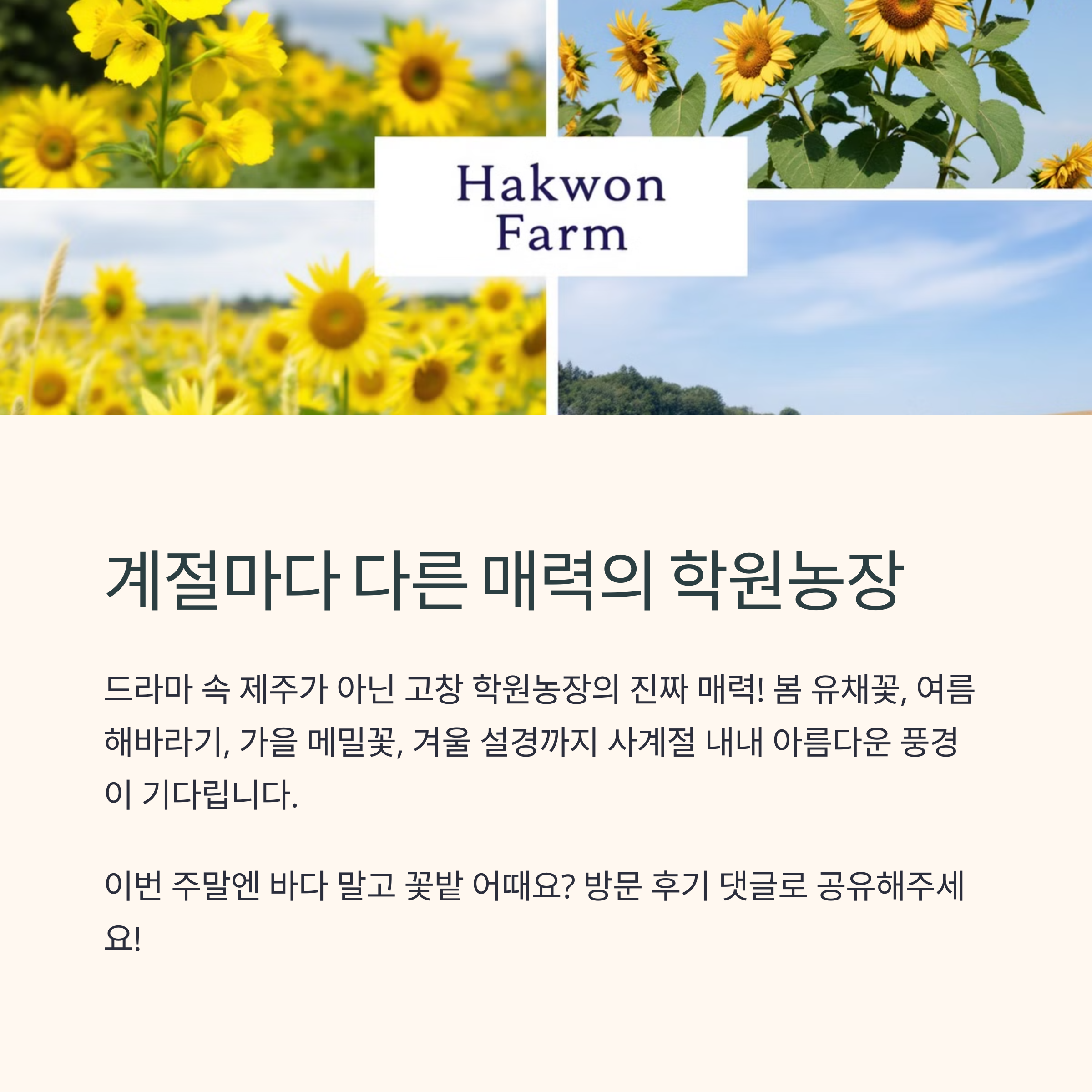 계절마다 다른 매력의 고창 학원농장