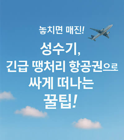 "놓치면 매진!", 성수기 긴급 땡처리 항공권 싸게 떠나는 꿀팁!