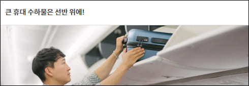 큰 기내 수화물