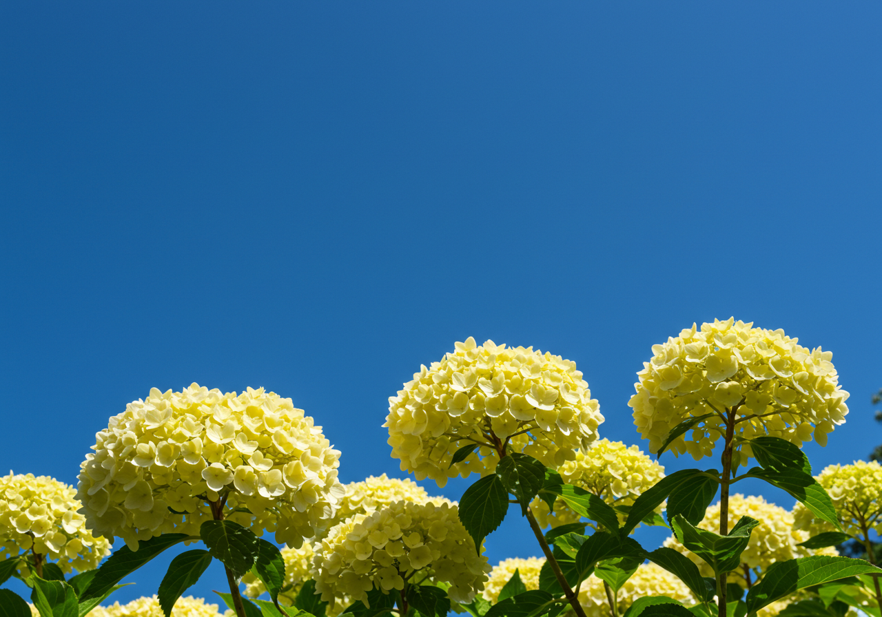 기초연금의 장점과 단점: 신중한 선택이 필요한 이유