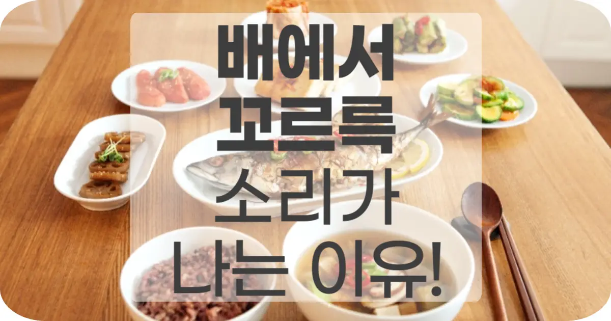 배에서 꼬르륵 소리가 나는 이유! 배고픔과 소화 과정의 관계