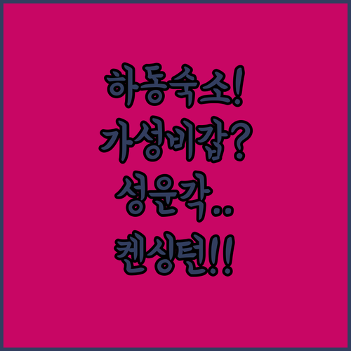 하동 숙소 추천 가성비 좋은 성운각부..