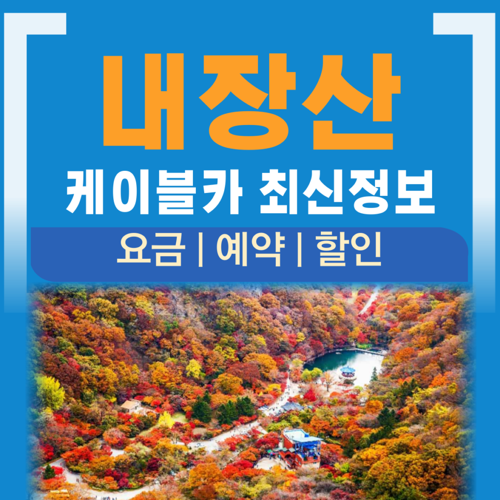 내장산 케이블카