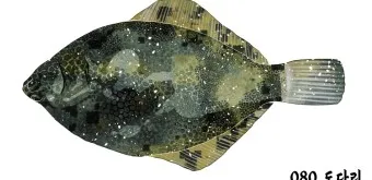 봄 도다리 제철 효능 레시피_40