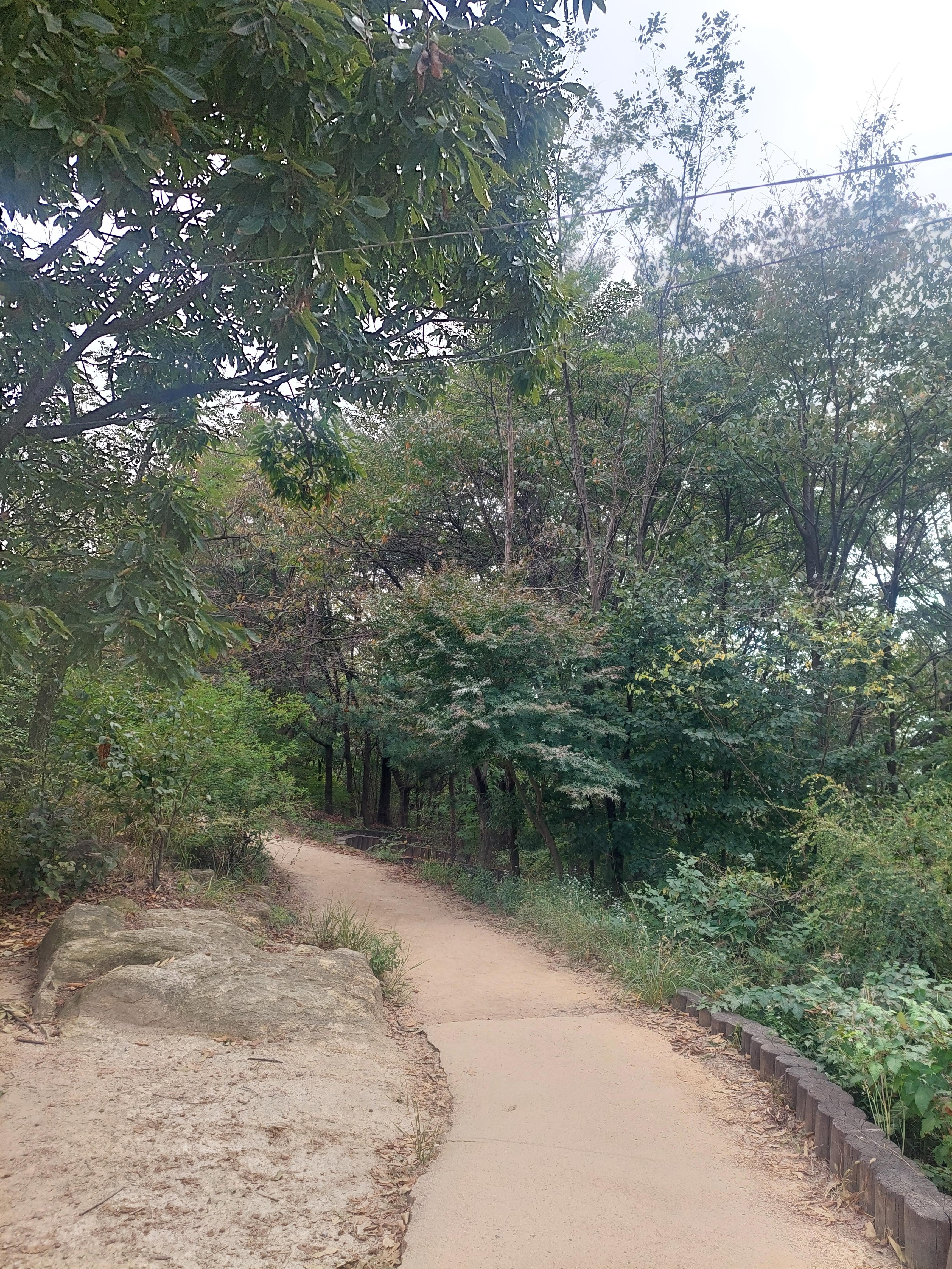 안산