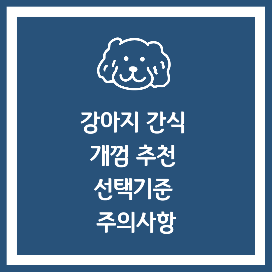 강아지 간식 개껌 추천 선택기준 주의사항