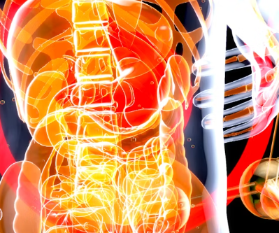 비오틴 부작용 : 소화