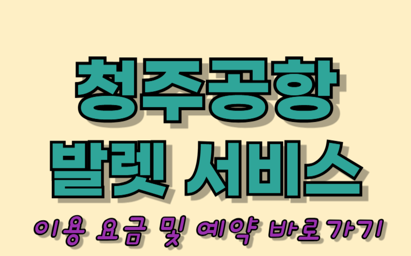 청주공항 발렛