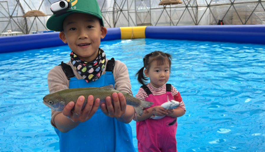 양평_빙송어축제_돔송어패키지