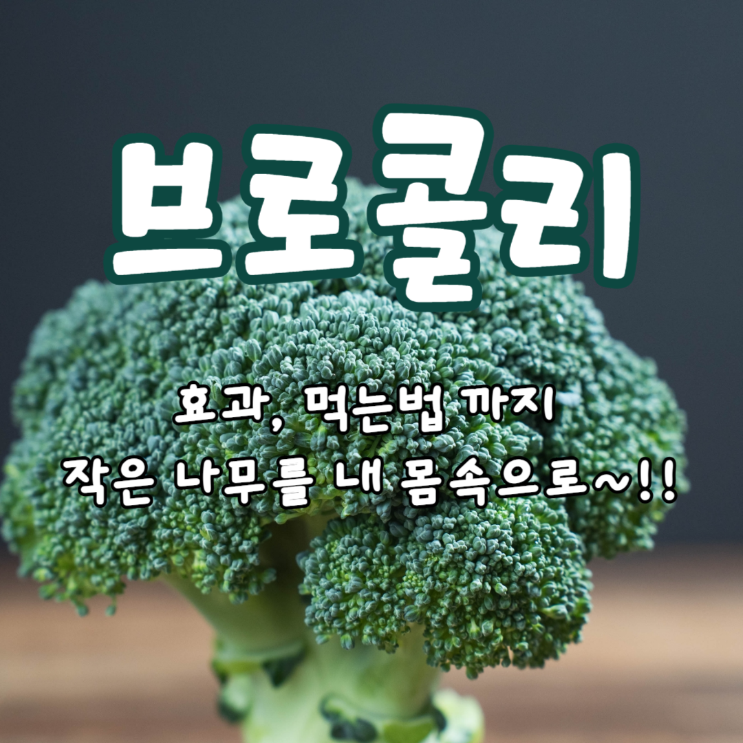 브로콜리