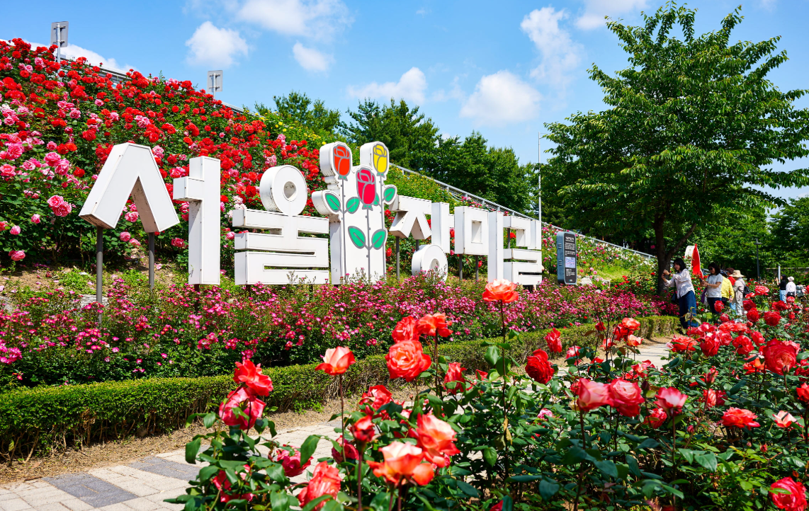 중랑 장미공원4