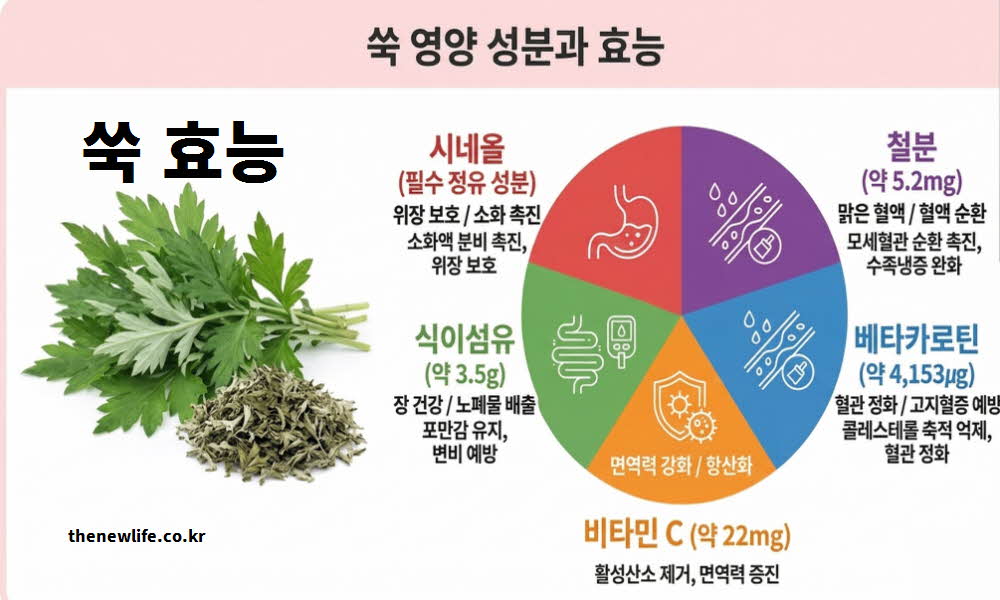 쑥 효능 영양 성분
