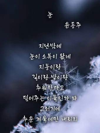 죽는 날까지 하늘을 우러러 한 점 부끄럼이 없기를 윤동주 시 세계_9