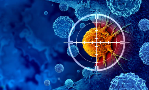 중입자 치료의 효과/치료횟수/비용/부작용