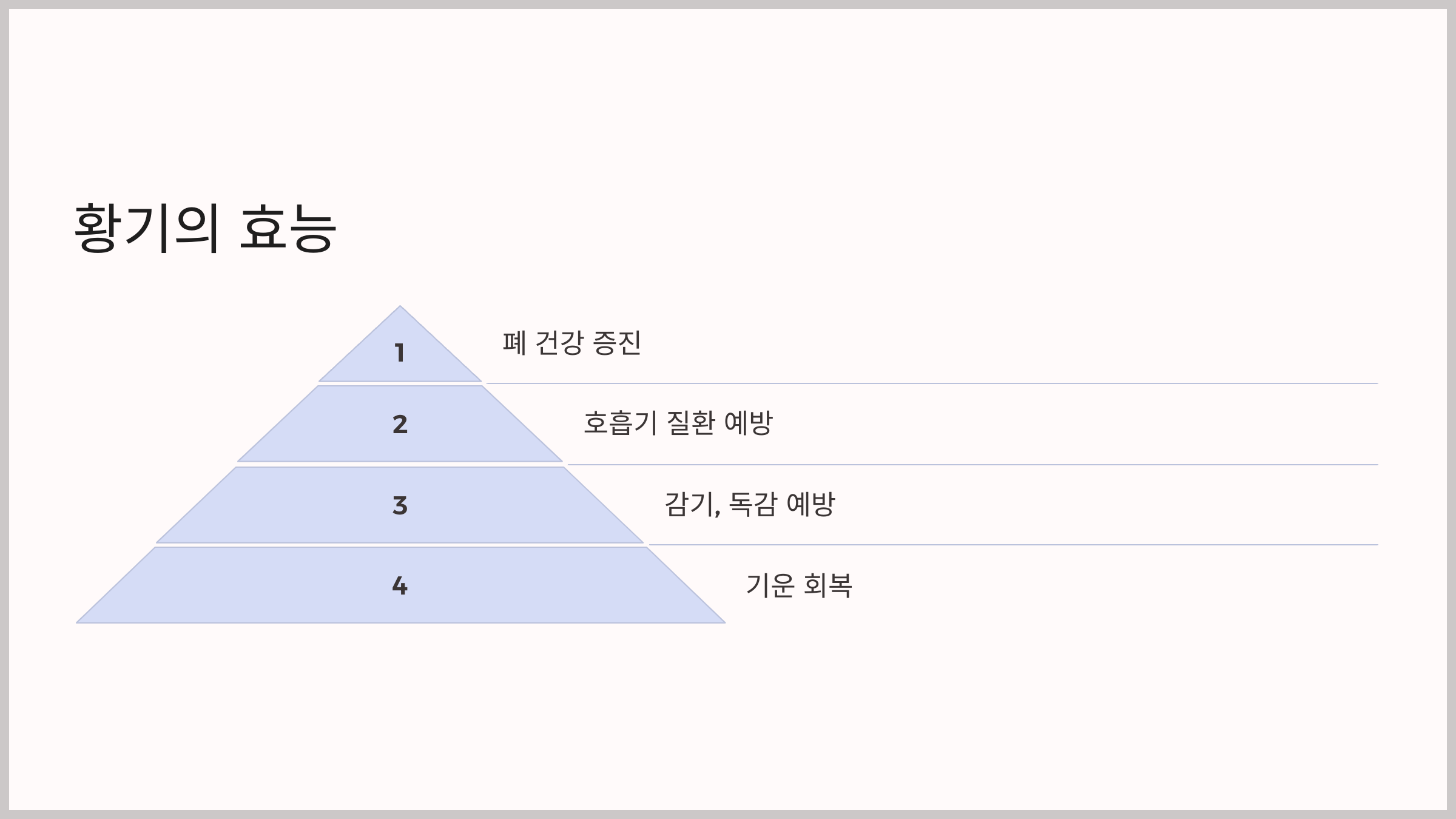 면역력 높이는 약초