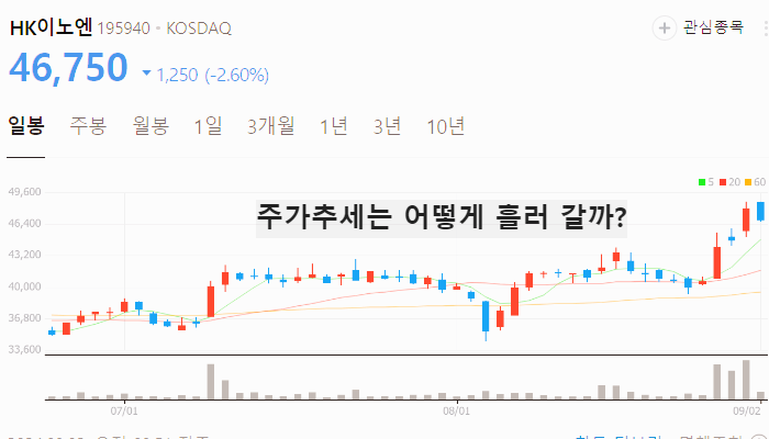 위고비 관련주 대장주 TOP10