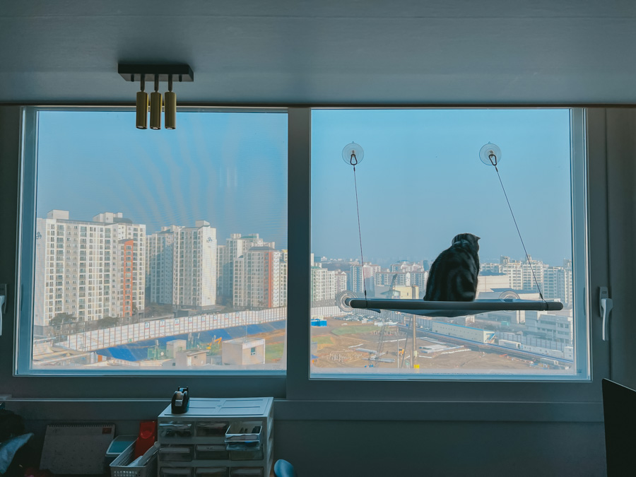 튼튼한-고양이-창문-해먹침대