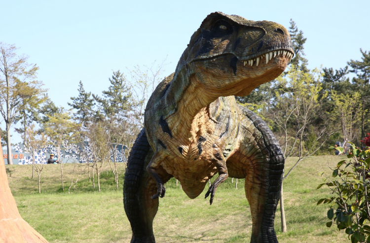 해남 공룡박물관