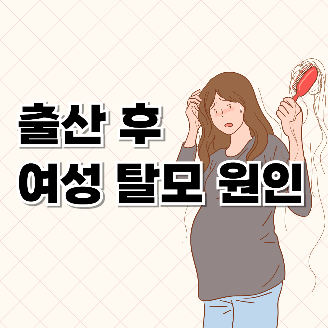 여성 탈모 관련 이미지