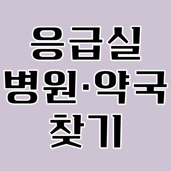양주&middot;동두천 설날 병원 어디?｜구정 응급실&middot;당번약국 안내