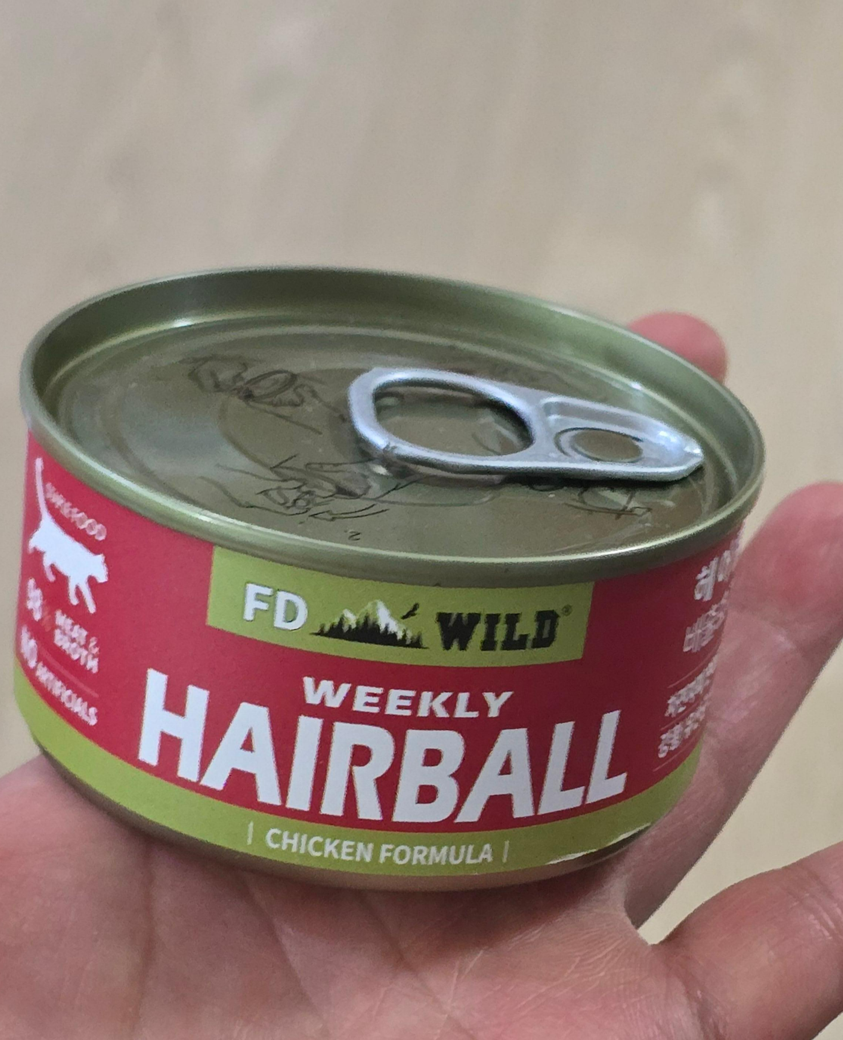 에프디와일드주식캔3