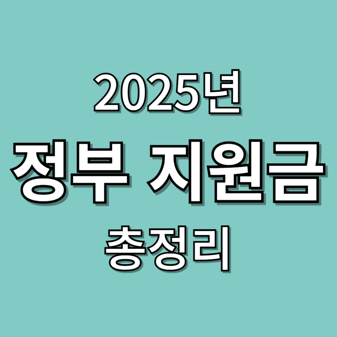 정부지원금