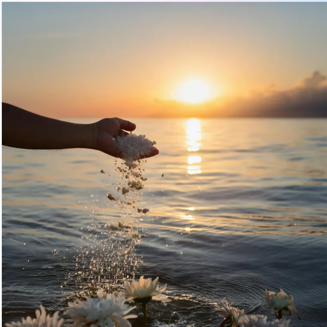 서울시립승화원 화장4