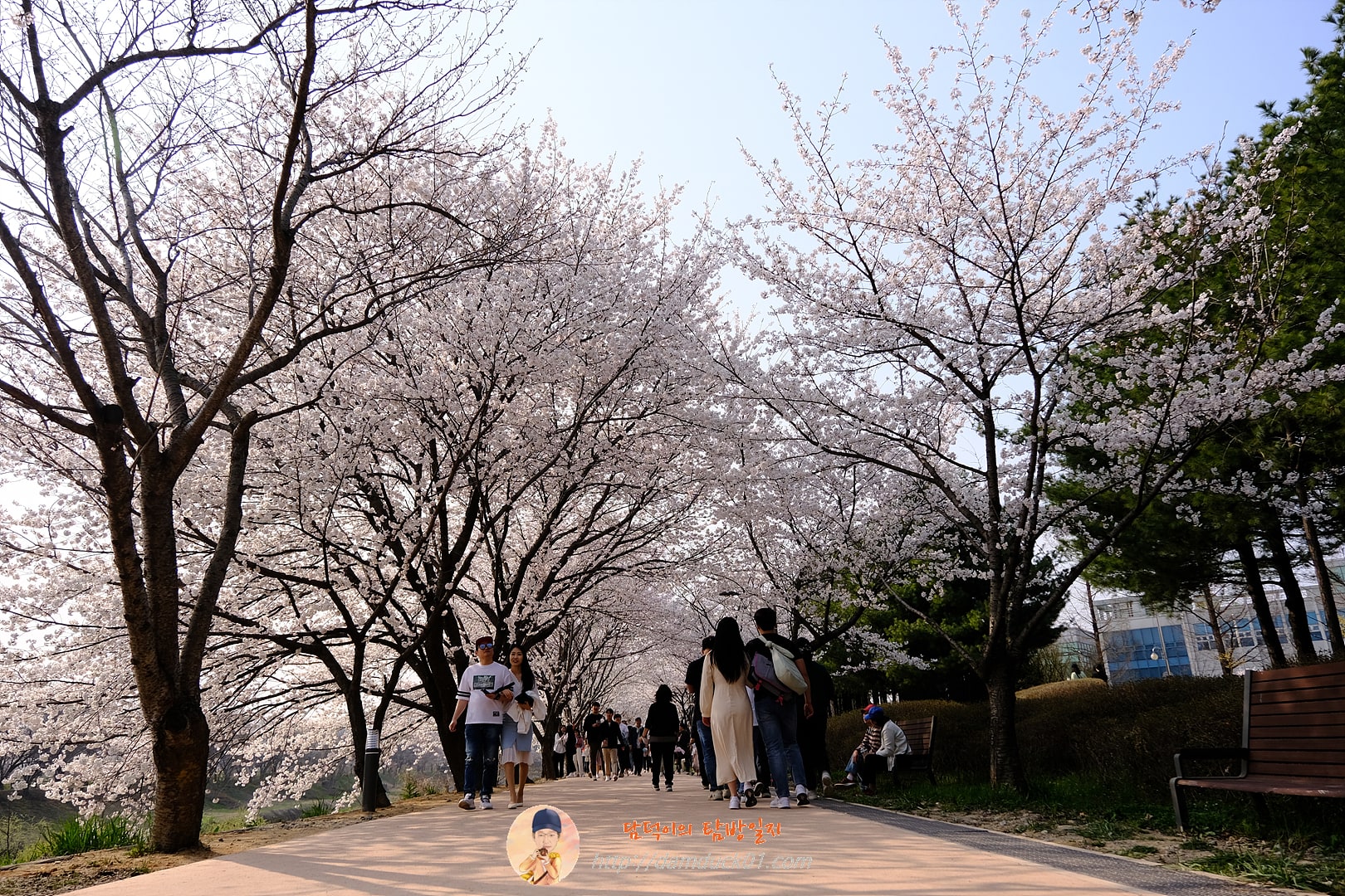 황구지천