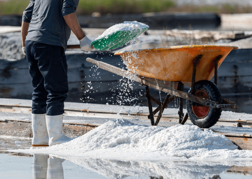 해남 절임배추 20kg 사전예약 가격비교