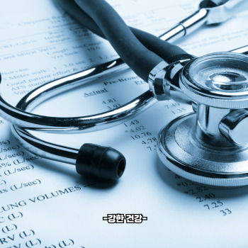 민생회복 지원금 신청