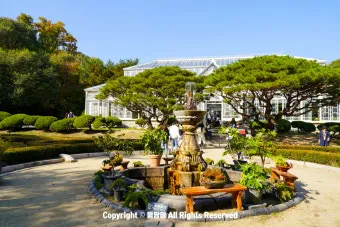 창경궁 예약 탐방 근처 맛집 10선_7