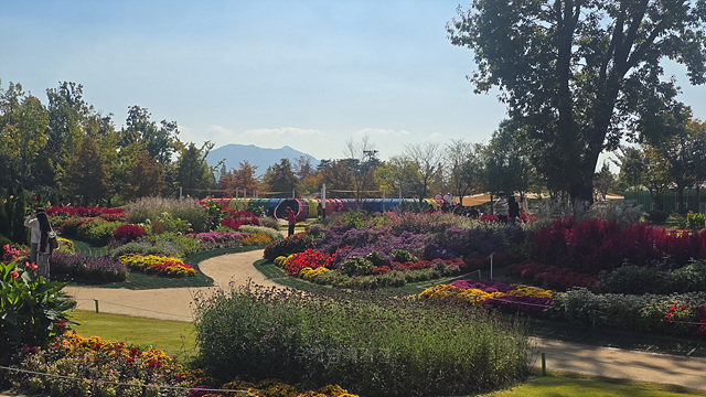 2025 순천만 국가정원 순천여행 맛집 현지인 추천 맛집 순천만 숙박