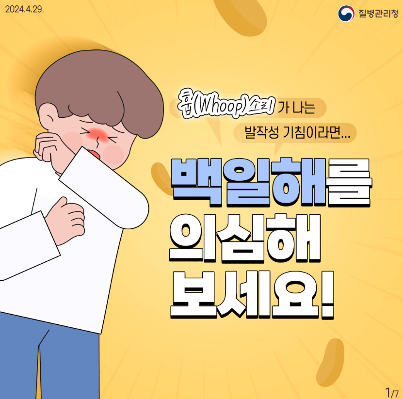 백일해 예방접종