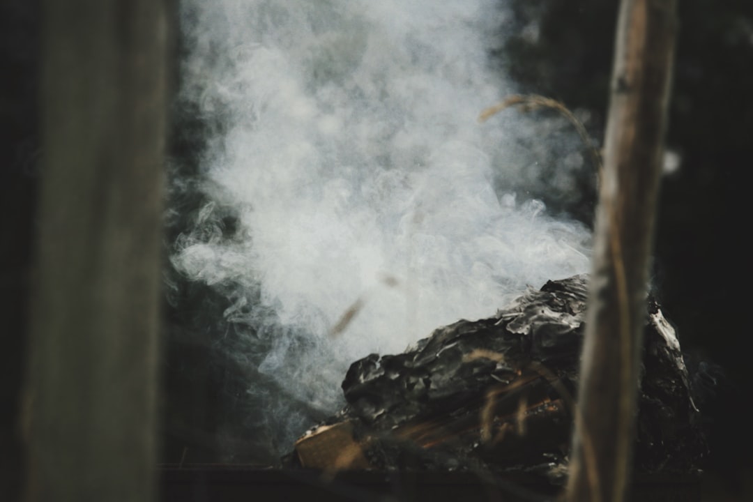 Odor