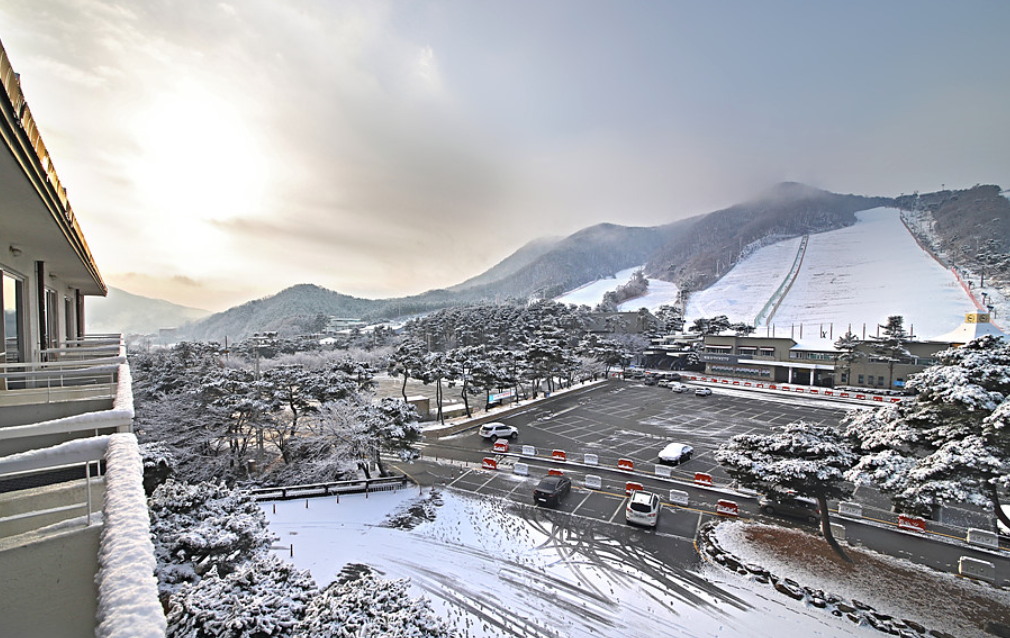 지산 포레스트 사진