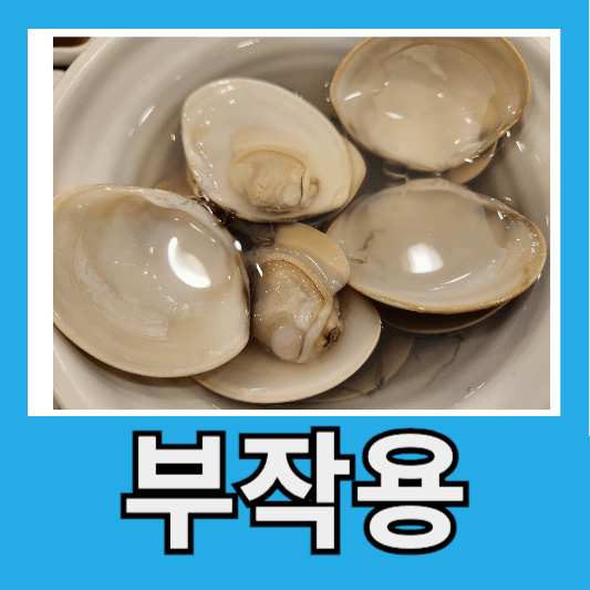 백합조개 부작용